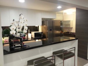 Blk 416 Jurong West Ave – Kitchen 2